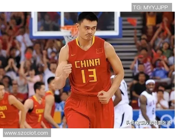 姚明与詹姆斯的传奇对决骑士时代的篮球荣耀与梦想
