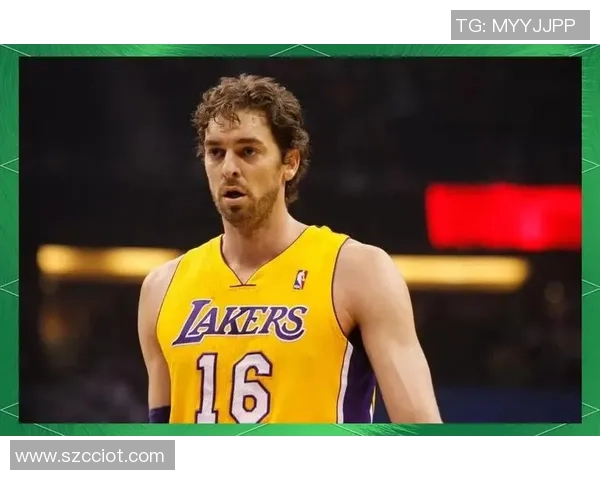 我心目中最喜欢的男篮球明星及其传奇故事与影响力分析